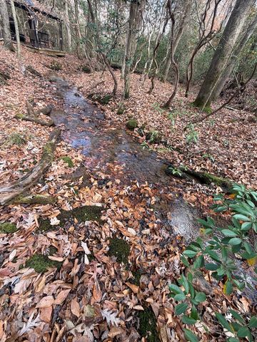 Lot A Magnums Trail, Blue Ridge, GA 30513