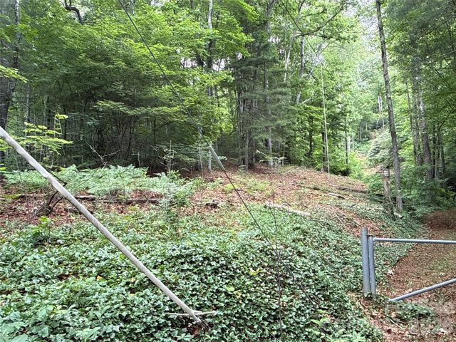 9999 Sunset Drive, Black Mountain, NC 28711