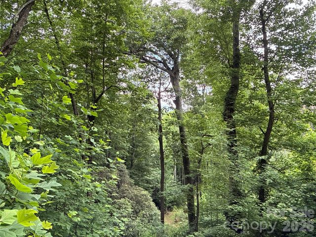 9999 Sunset Drive, Black Mountain, NC 28711
