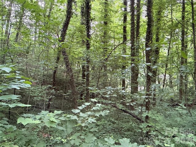 9999 Sunset Drive, Black Mountain, NC 28711