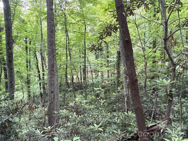 9999 Sunset Drive, Black Mountain, NC 28711
