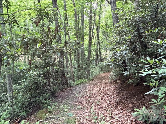 9999 Sunset Drive, Black Mountain, NC 28711