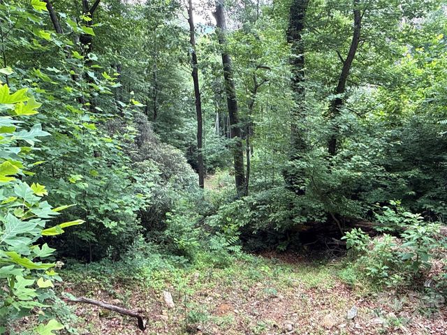 9999 Sunset Drive, Black Mountain, NC 28711