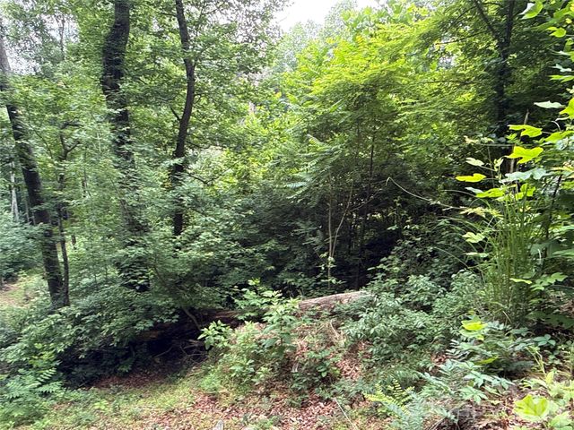 9999 Sunset Drive, Black Mountain, NC 28711