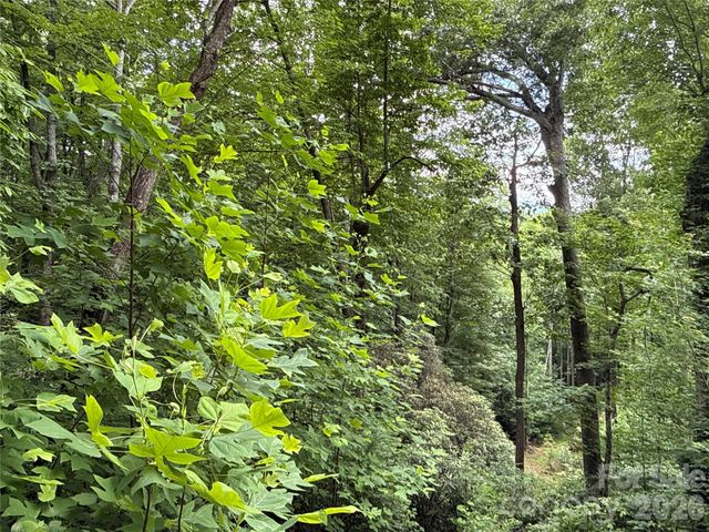 9999 Sunset Drive, Black Mountain, NC 28711