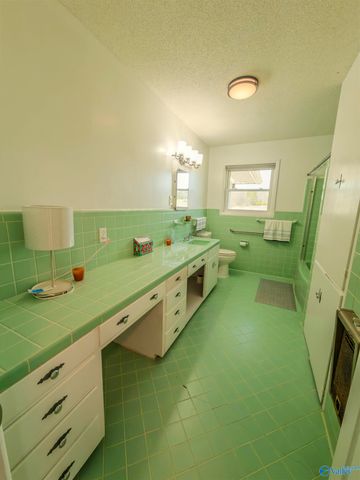 17410 Alabama Highway 157, Moulton, AL 35650