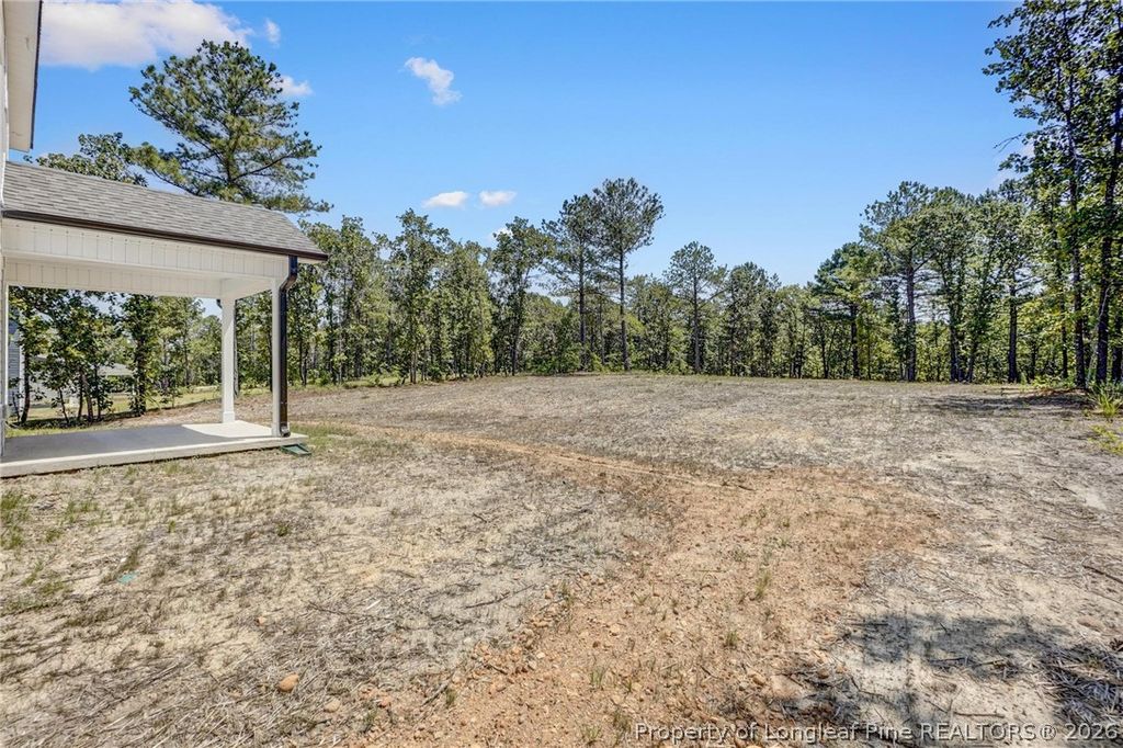 234 Travelers Way, Lillington, NC 27546 — photo 20