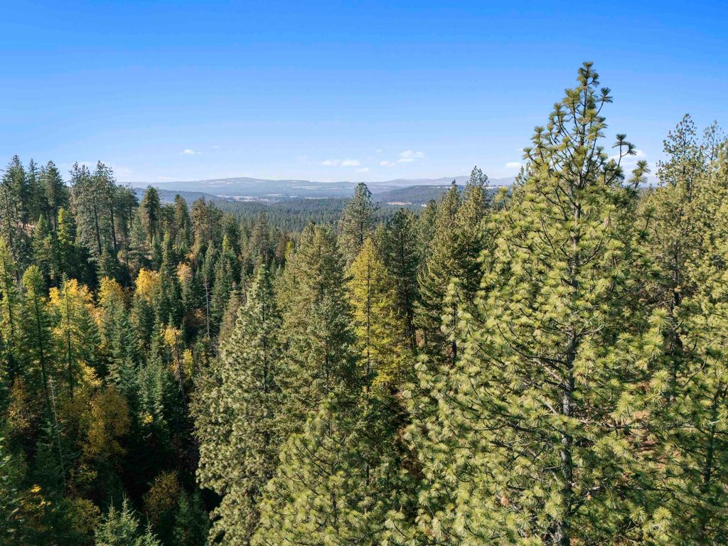 NNA N Madison Rd, Mead, WA 99021 photo 8