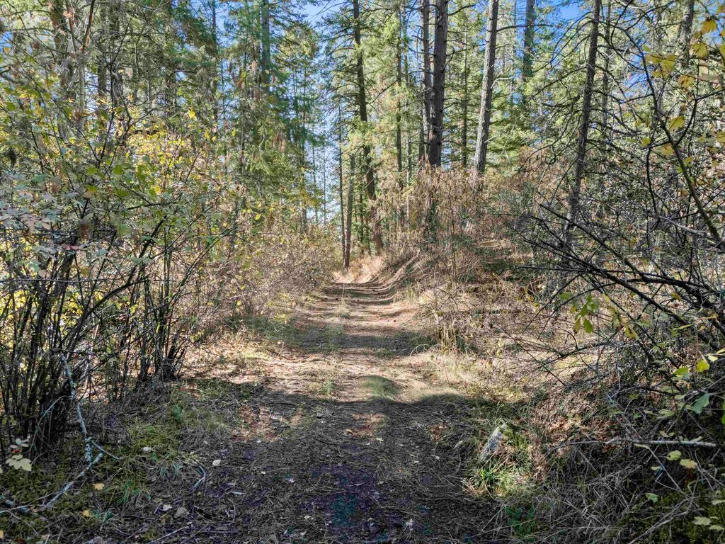 NNA N Madison Rd, Mead, WA 99021 photo 10