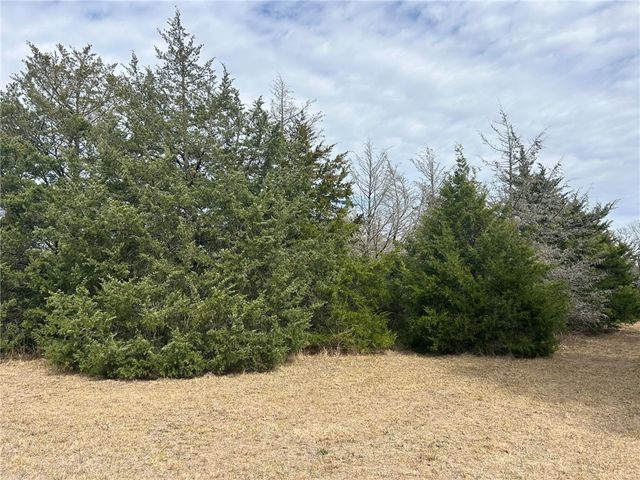 TBD Deer Run County Road, College Station, TX 77845