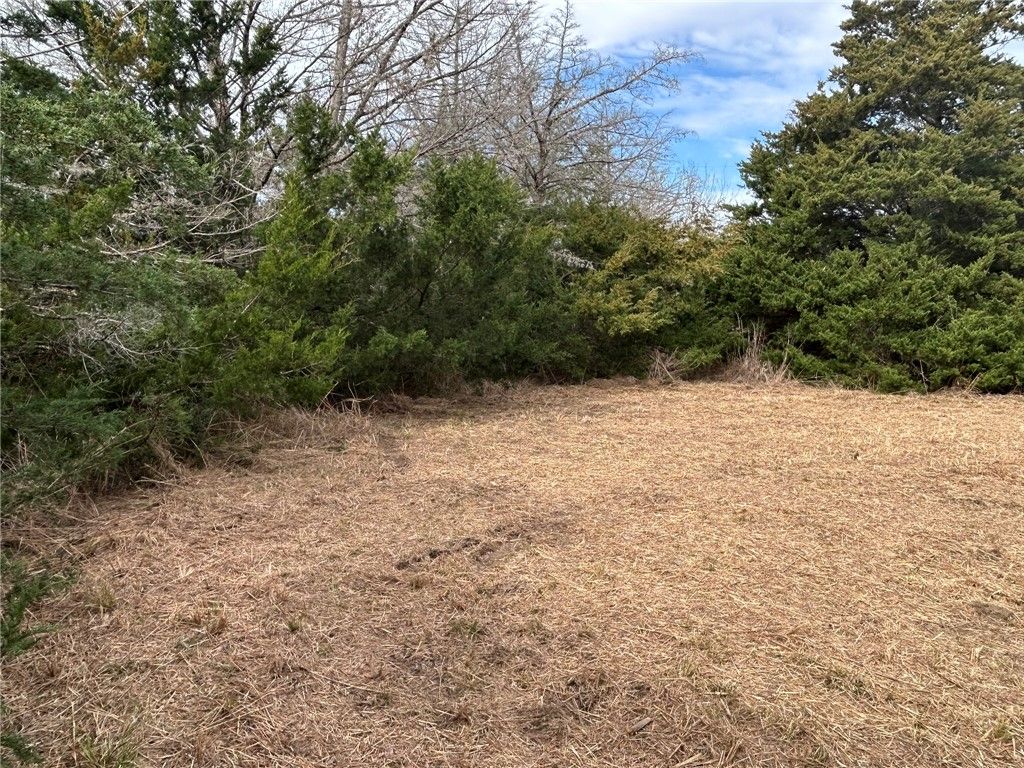 TBD Deer Run County Road, College Station, TX 77845 — photo 2