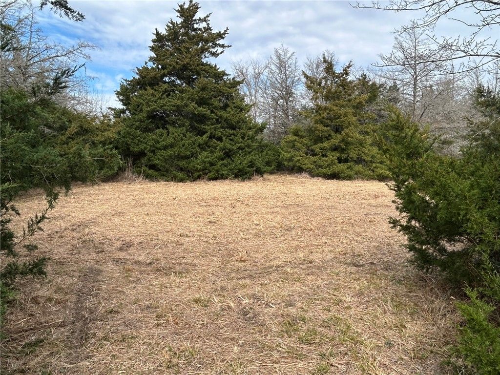 TBD Deer Run County Road, College Station, TX 77845 — photo 4