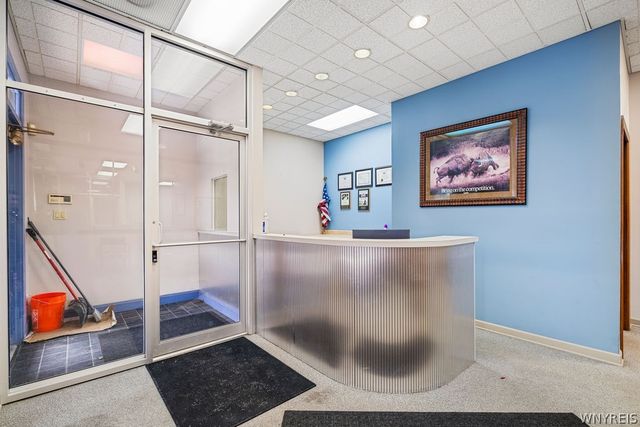 2290 Main Street, Buffalo, NY 14214