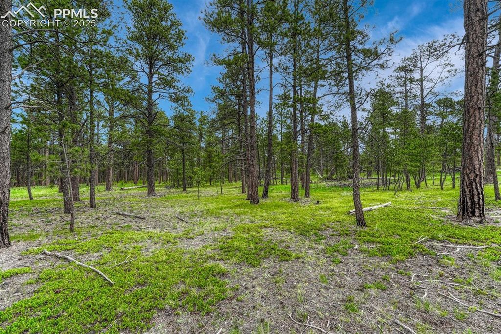 000 Wyandott Drive, Colorado Springs, CO 80908 — exterior