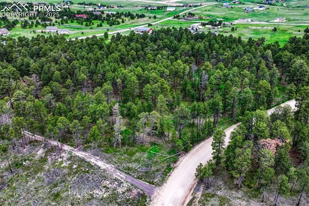 000 Wyandott Drive, Colorado Springs, CO 80908 — photo 2