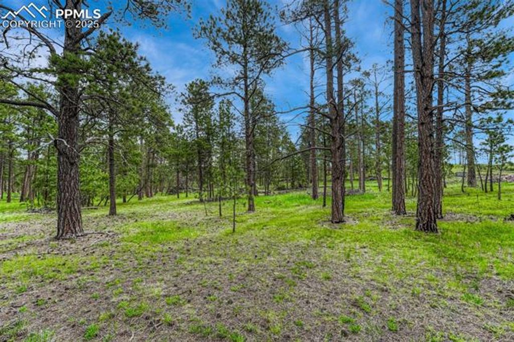000 Wyandott Drive, Colorado Springs, CO 80908 — photo 3