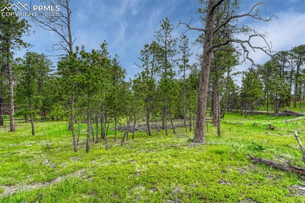 000 Wyandott Drive, Colorado Springs, CO 80908 — photo 4