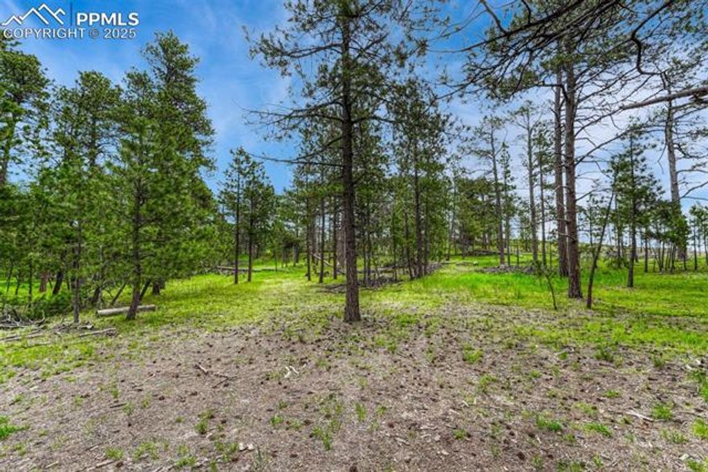 000 Wyandott Drive, Colorado Springs, CO 80908 — photo 5