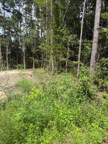 0 Mary Ellie Drive, Summerville, SC 29483