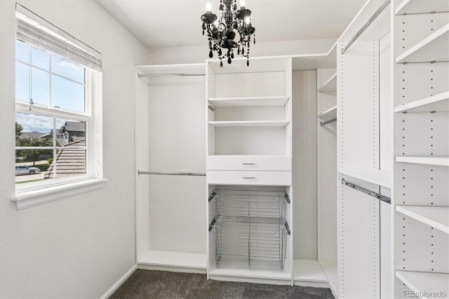 11945 S Black Horn Circle, Parker, CO 80134