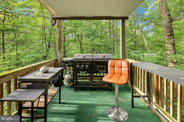 7823 SUPINLICK RIDGE RD, Mount Jackson, VA 22842