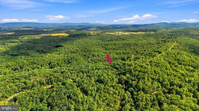 7823 SUPINLICK RIDGE RD, Mount Jackson, VA 22842