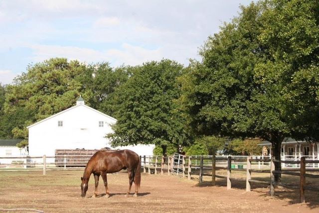 9827 Audubon Park Drive, Spring, TX 77379