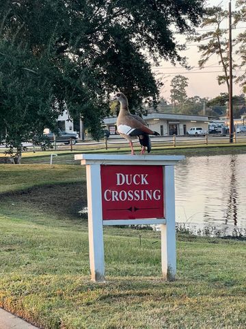 9827 Audubon Park Drive, Spring, TX 77379