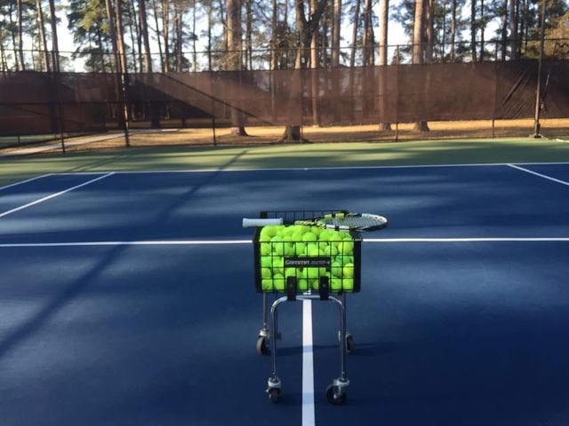 9827 Audubon Park Drive, Spring, TX 77379