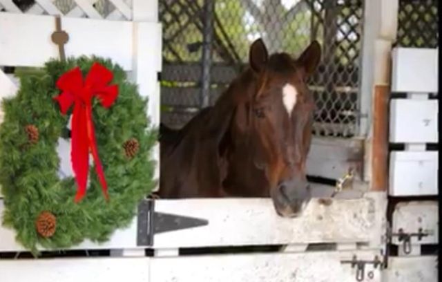 9827 Audubon Park Drive, Spring, TX 77379