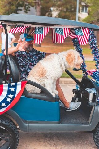 9827 Audubon Park Drive, Spring, TX 77379