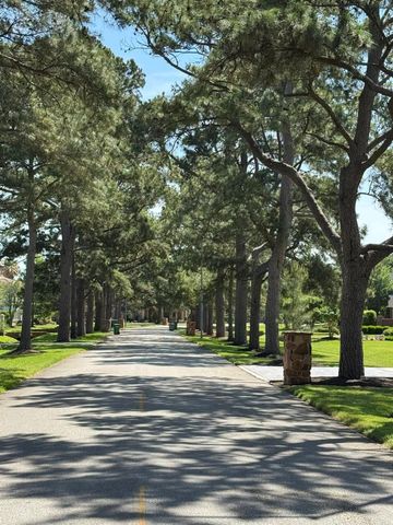 9827 Audubon Park Drive, Spring, TX 77379