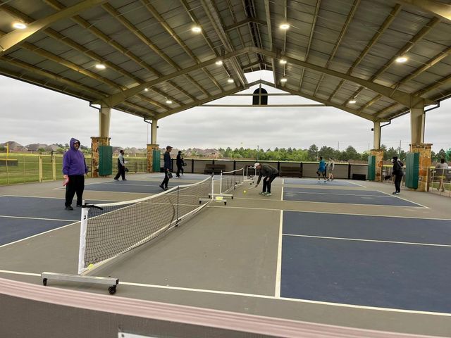 9827 Audubon Park Drive, Spring, TX 77379