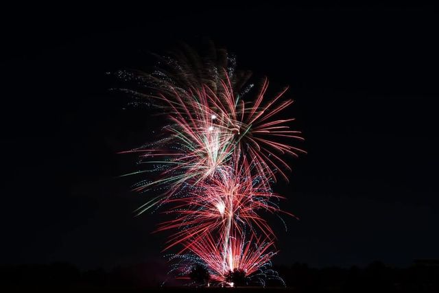 9827 Audubon Park Drive, Spring, TX 77379