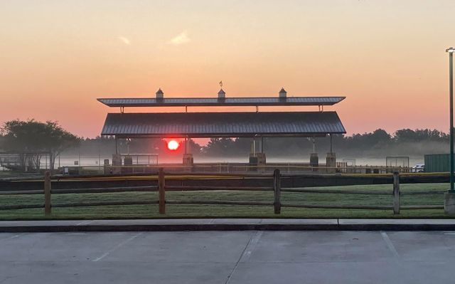 9827 Audubon Park Drive, Spring, TX 77379