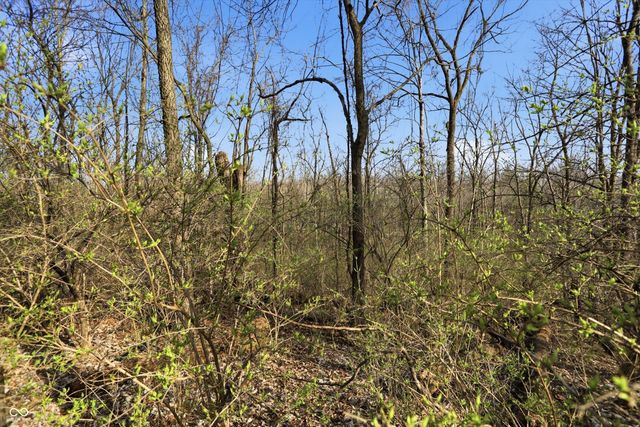 9010 Summer Estate Drive, Indianapolis, IN 46256