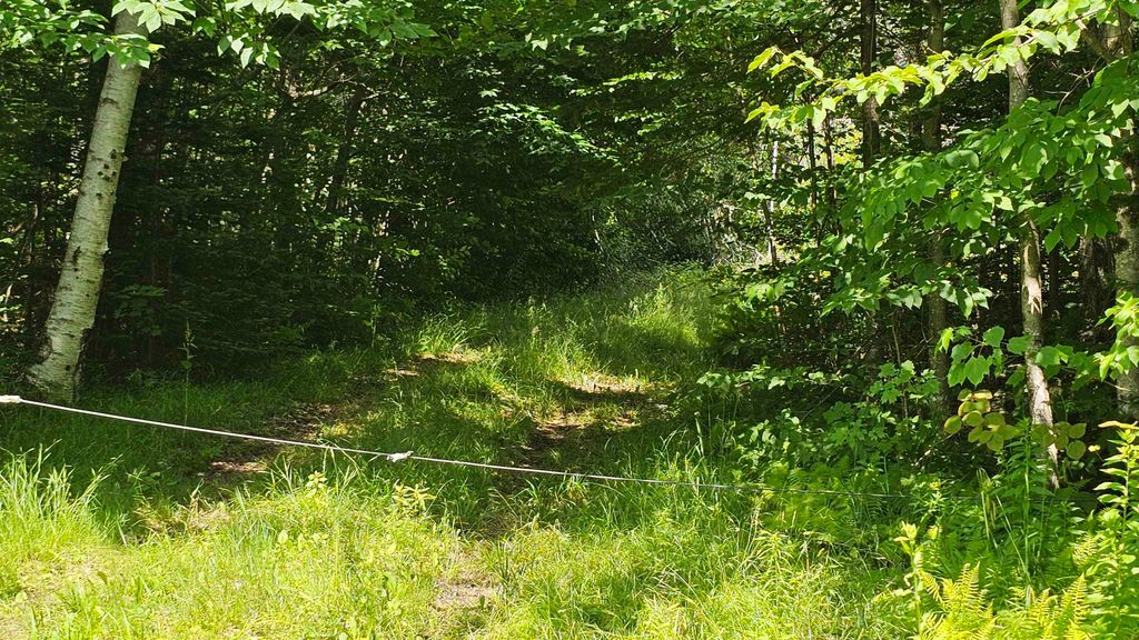 1718 Brown Schoolhouse Road, Reading, VT 05153