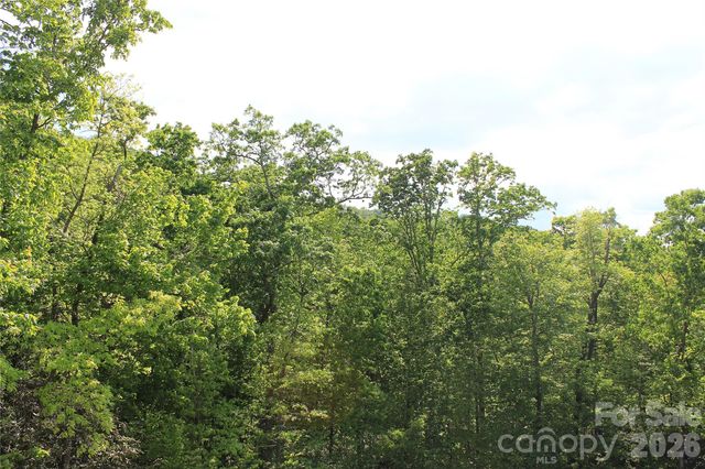 101 Wood Owl Court, Hendersonville, NC 28791