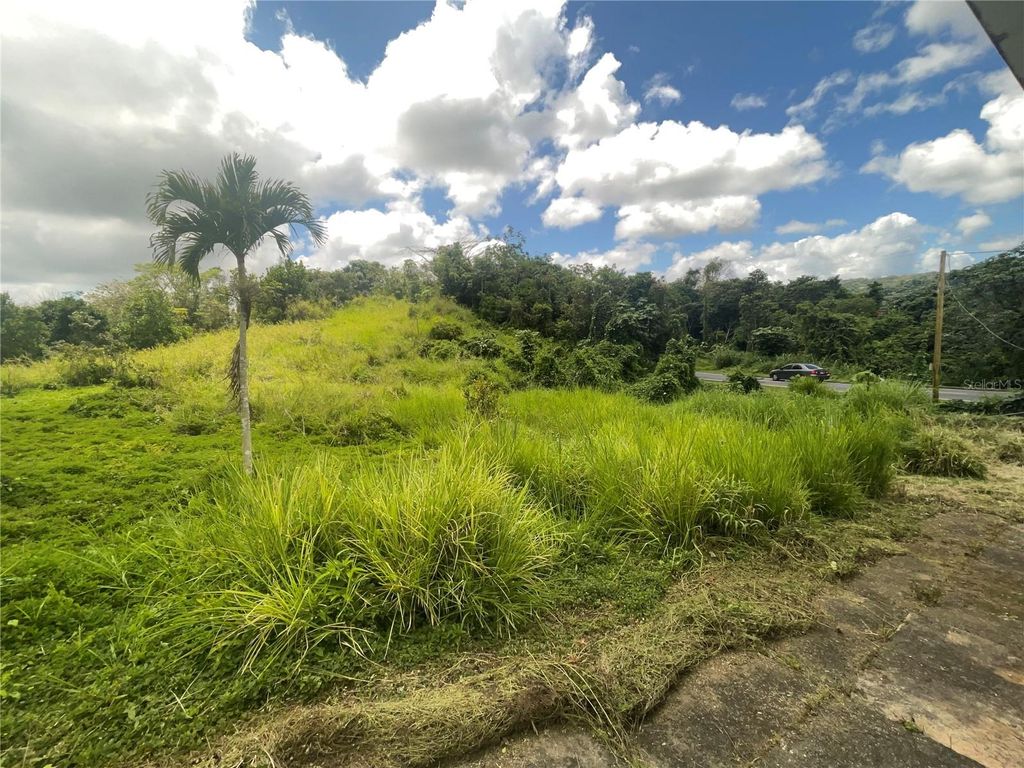 143 143, Barranquitas, PR 00794