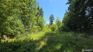 32919 82nd Ave S, Roy, WA 98580