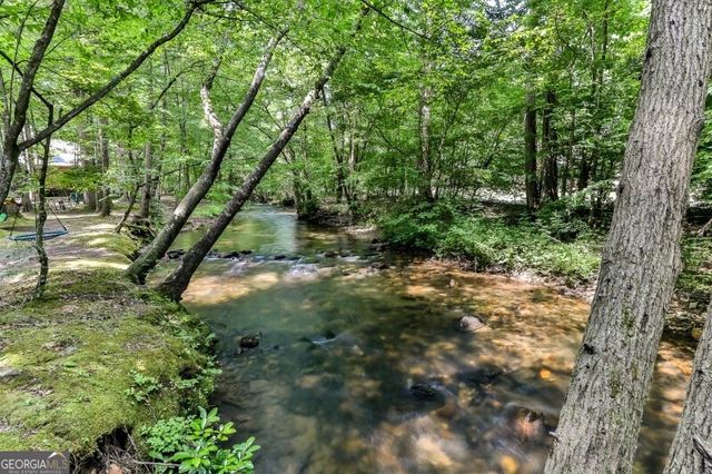 420 Olivers Trail, Cherry Log, GA 30522