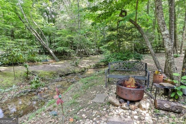 420 Olivers Trail, Cherry Log, GA 30522