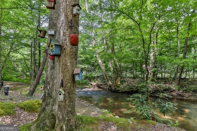 420 Olivers Trail, Cherry Log, GA 30522