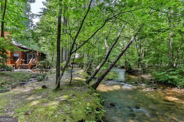 420 Olivers Trail, Cherry Log, GA 30522