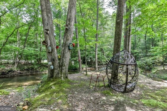 420 Olivers Trail, Cherry Log, GA 30522