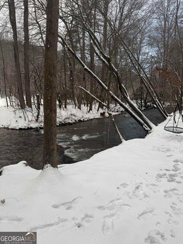 420 Olivers Trail, Cherry Log, GA 30522