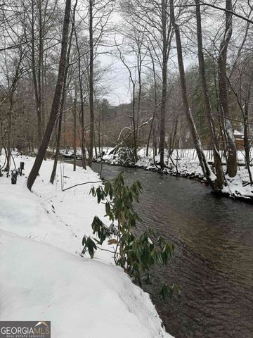 420 Olivers Trail, Cherry Log, GA 30522