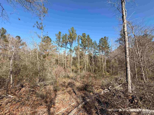 Lot 22 Creek Bluff Dr, Pace, FL 32571