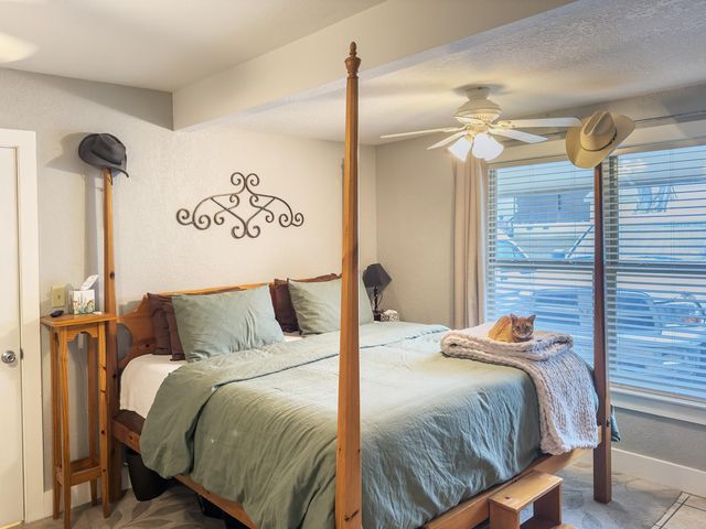 702 E Schubert ST E, Fredericksburg, TX 78624