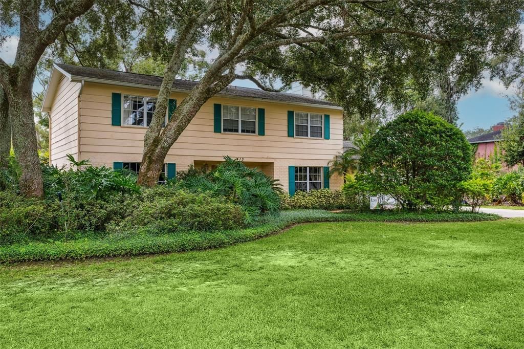 413 MONTROSE AVENUE, Temple Terrace, FL 33617